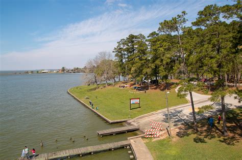 Livingston state park - Lake Livingston State Park is located near Livingston in Polk County, Texas. It is in the southern portion of the Piney Woods region of the state, just an hour north of Houston. Lake Livingston Lake Livingston is a reservoir located in the East Texas Piney Woods. Lake Livingston was built, and is owned and operated, by the Trinity River ...